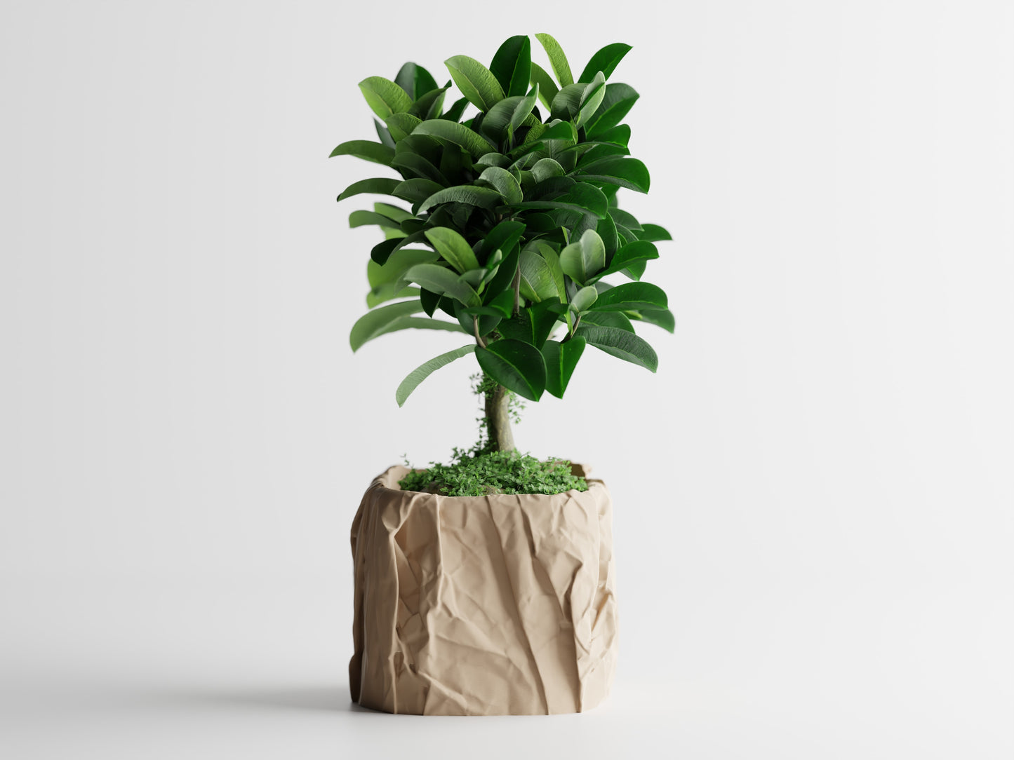 Crumbled Paper Plant Pot