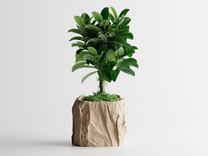 Crumbled Paper Plant Pot