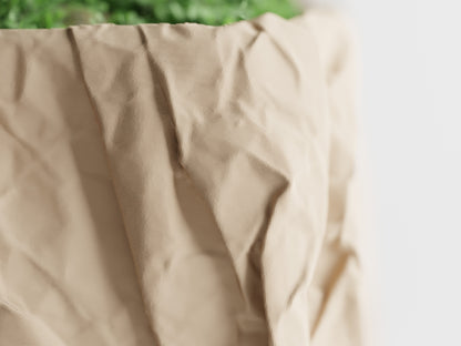 Crumbled Paper Plant Pot